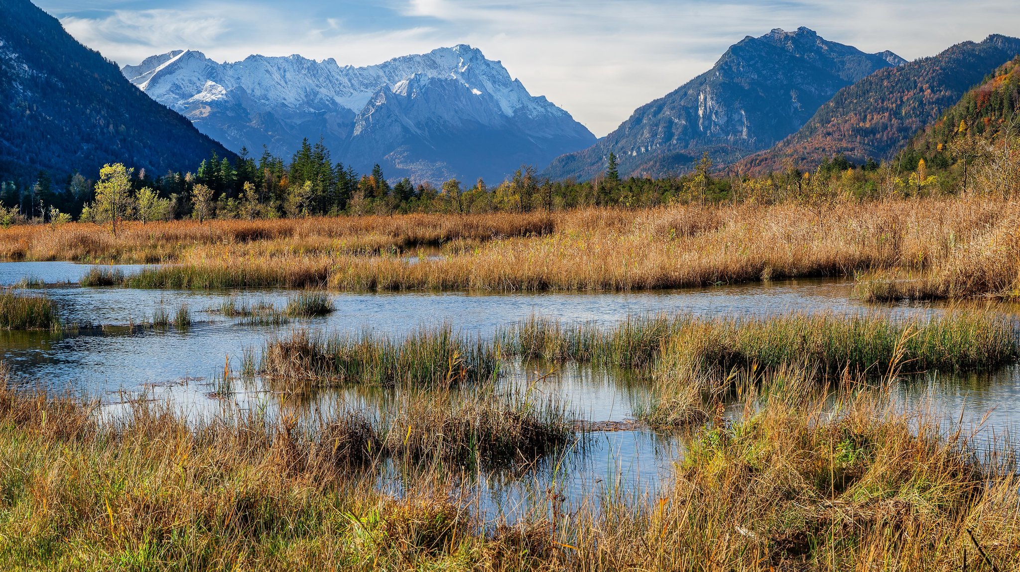 "Lange nicht am Ziel": Was Klimaschutz im Moor schwierig macht