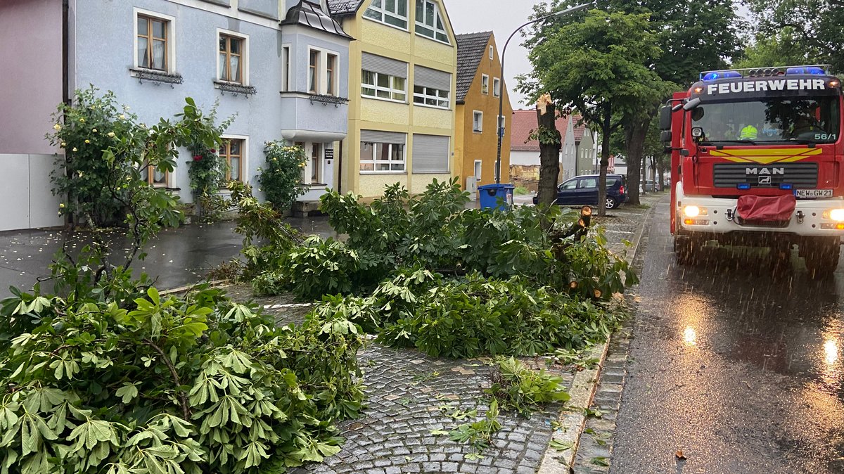 Umgestürzte Bäume in Neustadt an der Waldnaab.