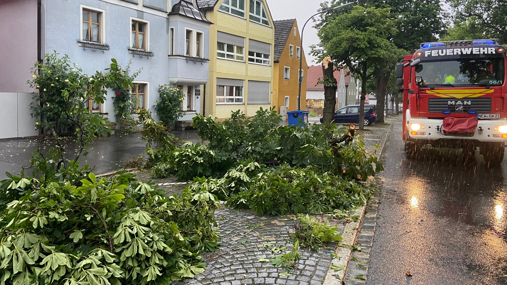 Umgestürzte Bäume in Neustadt an der Waldnaab.