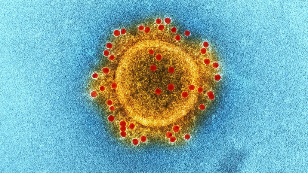 Auch der MERS-Erreger, der seit 2012 bekannt ist, gehört zur Familie der Coronaviren, ist aber nicht Auslöser der Infektionen in Wuhan. 