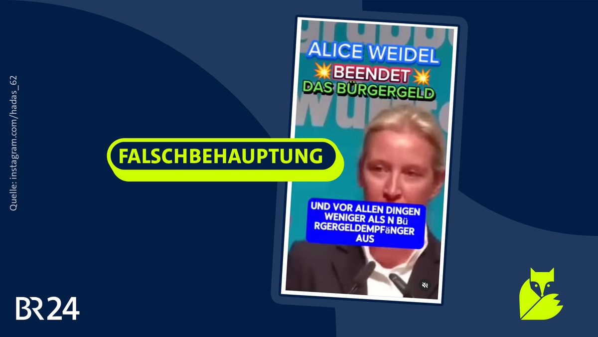 Screenshot mit einem Ausschnitt eines Videos mit Alice Weidel, darüber der Stempel "Falschbehauptung".