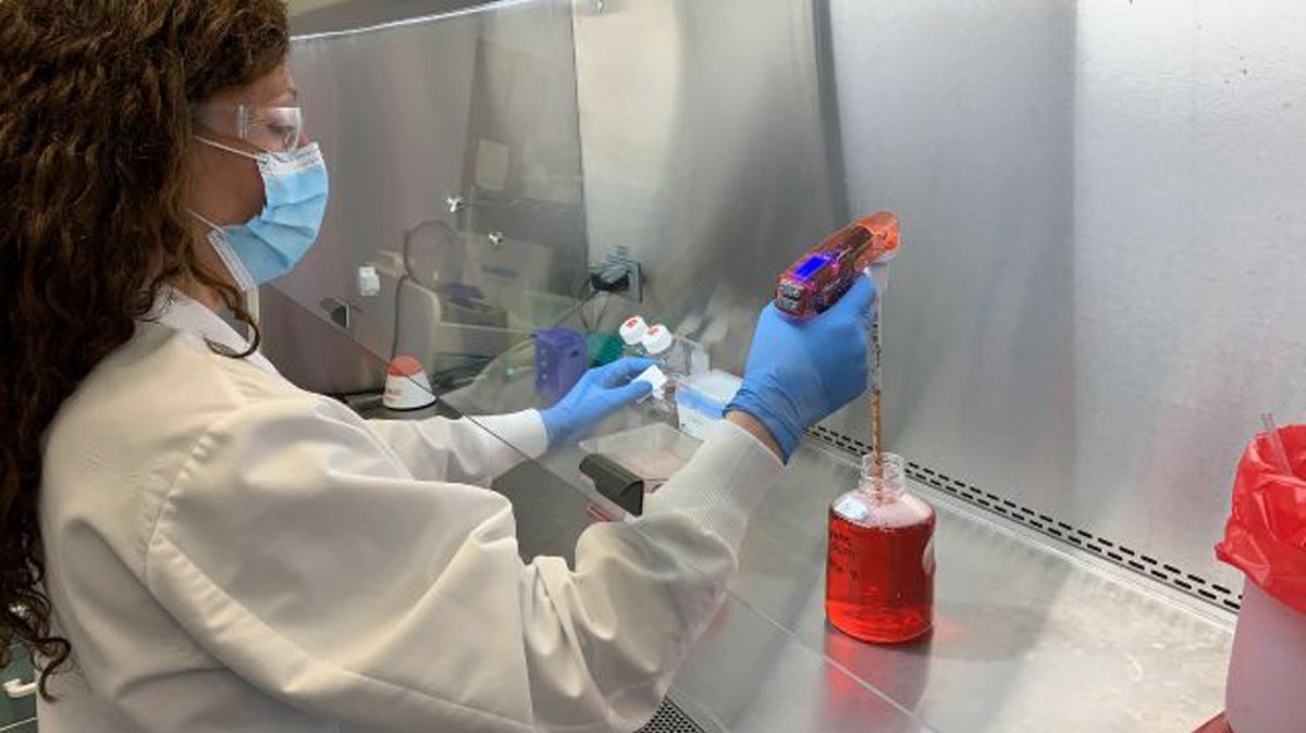 Ela Wloga, eine leitende Spezialistin im Labor für Infektionskrankheiten der US-Firma Regeron, arbeitet an einer Zellkultur in einer mikrobiologischen Werkbank (undatierte Aufnahme). Das Biotechnologie-Unternehmen stellt einen experimentellen Antikörper-Cocktail gegen Covid-19 her