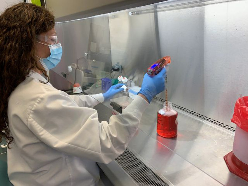 Ela Wloga, eine leitende Spezialistin im Labor für Infektionskrankheiten der US-Firma Regeron, arbeitet an einer Zellkultur in einer mikrobiologischen Werkbank (undatierte Aufnahme). Das Biotechnologie-Unternehmen stellt einen experimentellen Antikörper-Cocktail gegen Covid-19 her