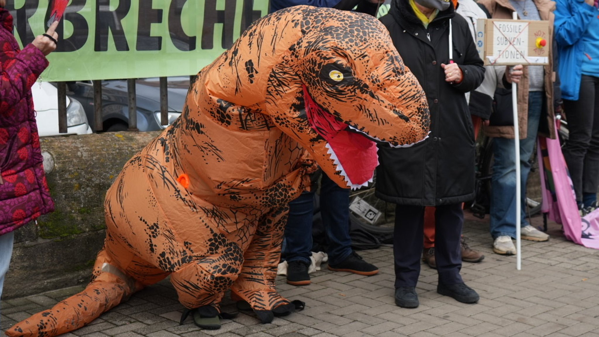 Demonstrant trägt Dino-Kostüm vor dem Justizpalast in Nürnberg (Symbolbild).