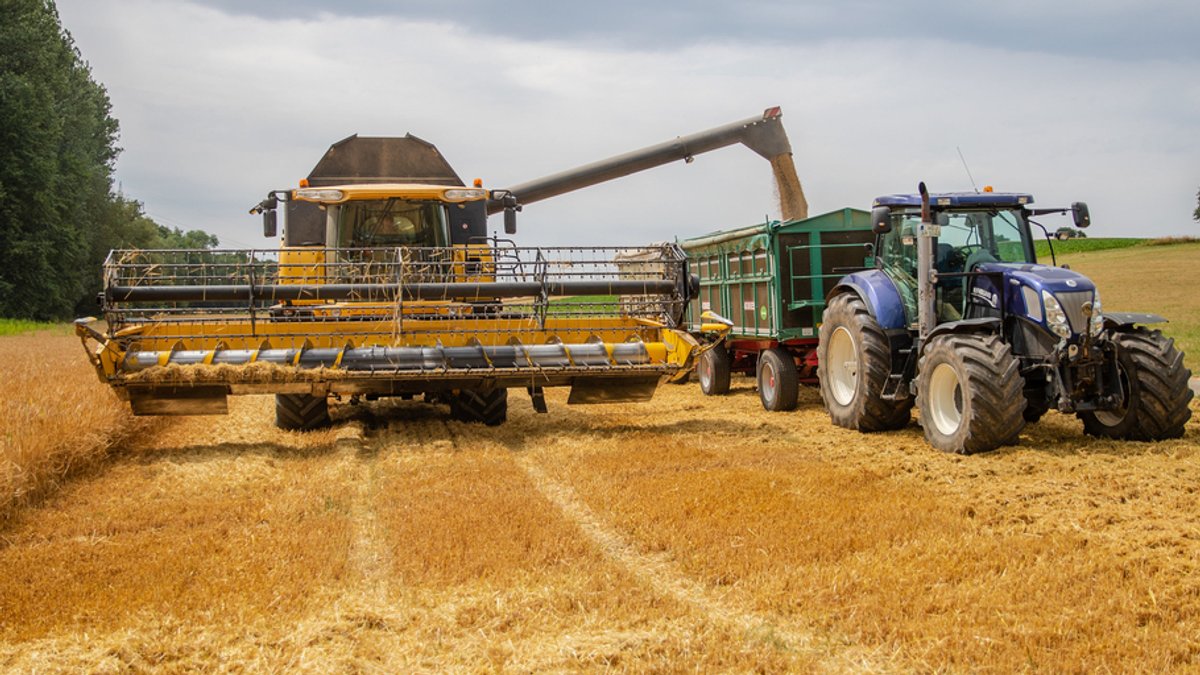 Erntebilanz: "Jeder Regentag hat den Bauern Qualität gekostet" 