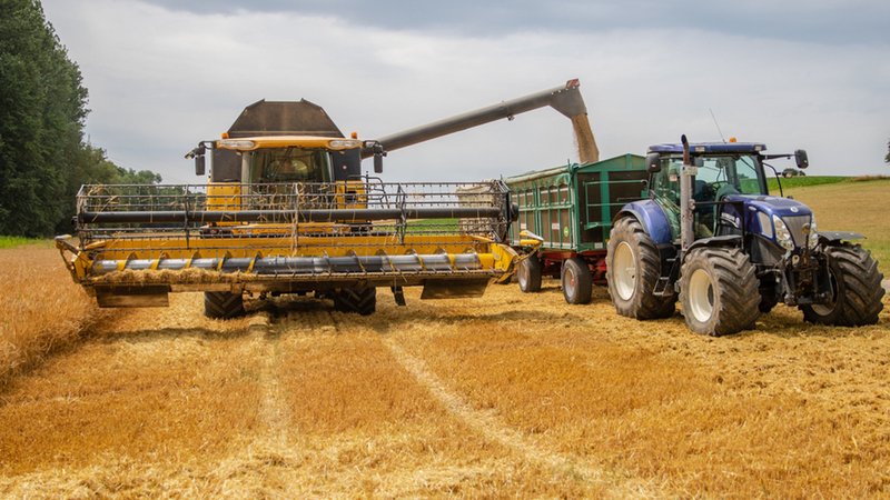 Ein Landwirt verlädt bei der Ernte mit seinem Mähdrescher die Körner in einen Anhänger. | Bild: dpa-Bildfunk/Christoph Schmidt Ein Landwirt verlädt bei der Ernte mit seinem Mähdrescher die Körner in einen Anhänger.