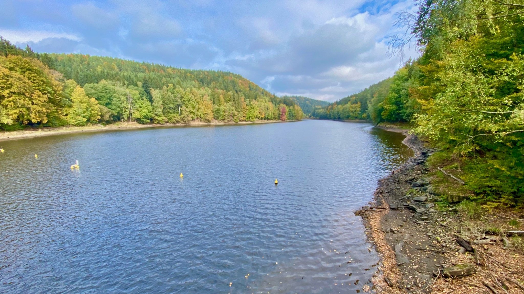 Der Pfreimdstausee im Landkreis Schwandorf, links und rechts bewaldete Hänge.