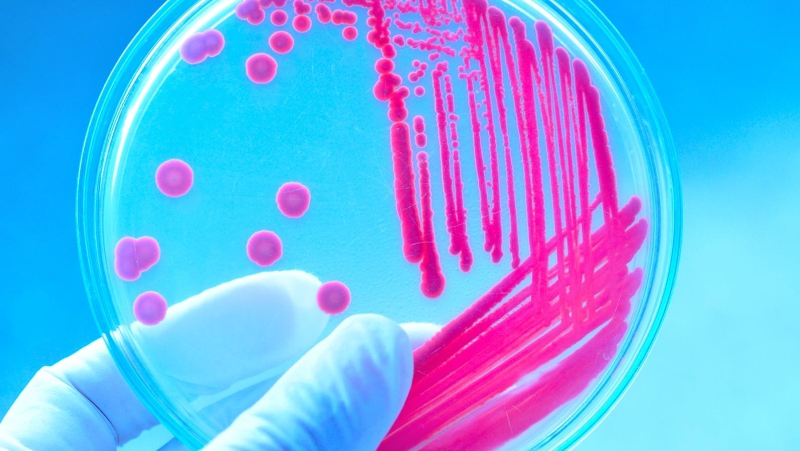 Superkeime Antibiotika Reserven Gehen Aus Br24