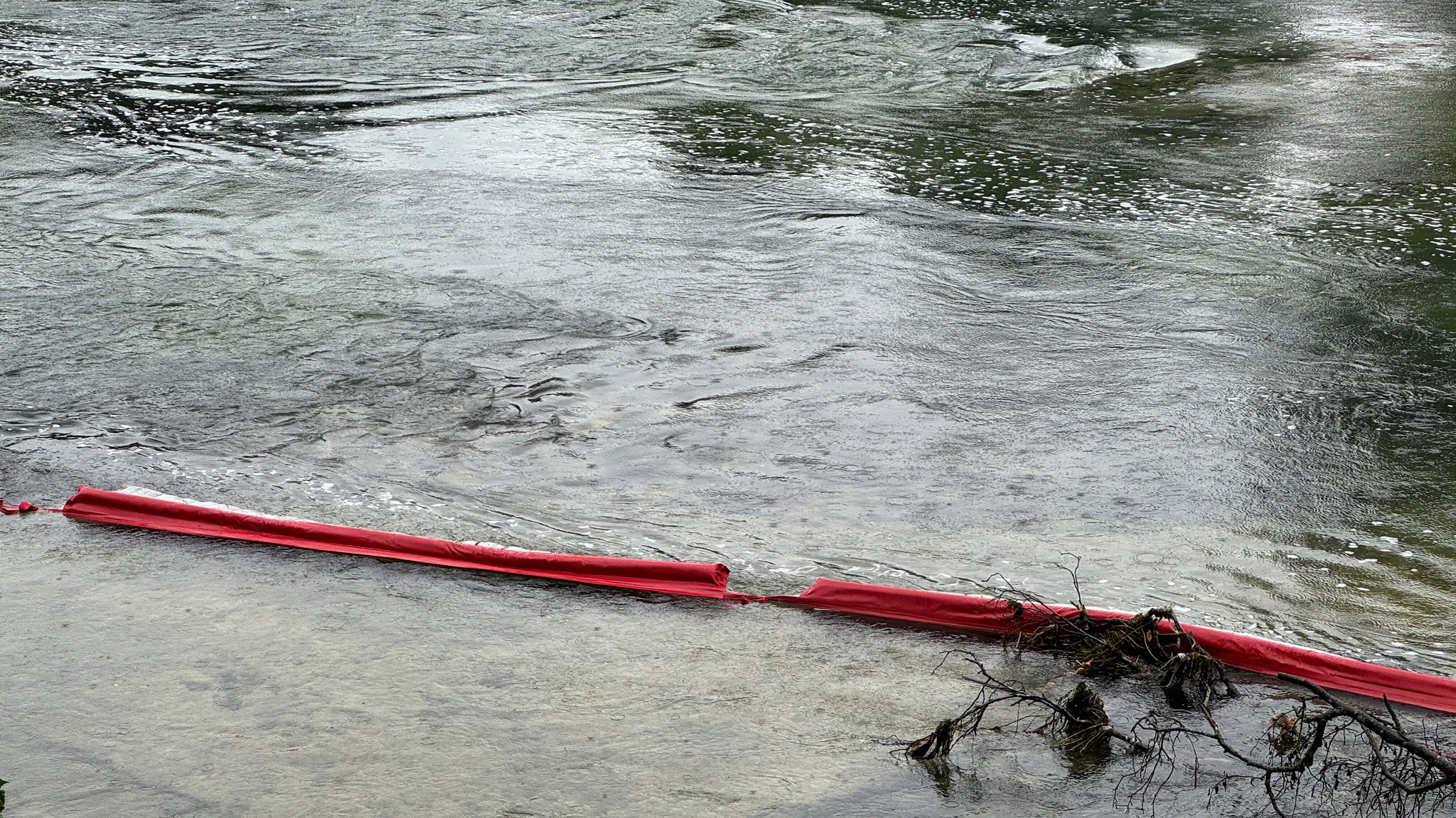 Zu sehen sind rote Wülste, die im Wasser liegen. | Bild: BR/Katrin Nöbauer Zu sehen sind rote Wülste, die im Wasser liegen.