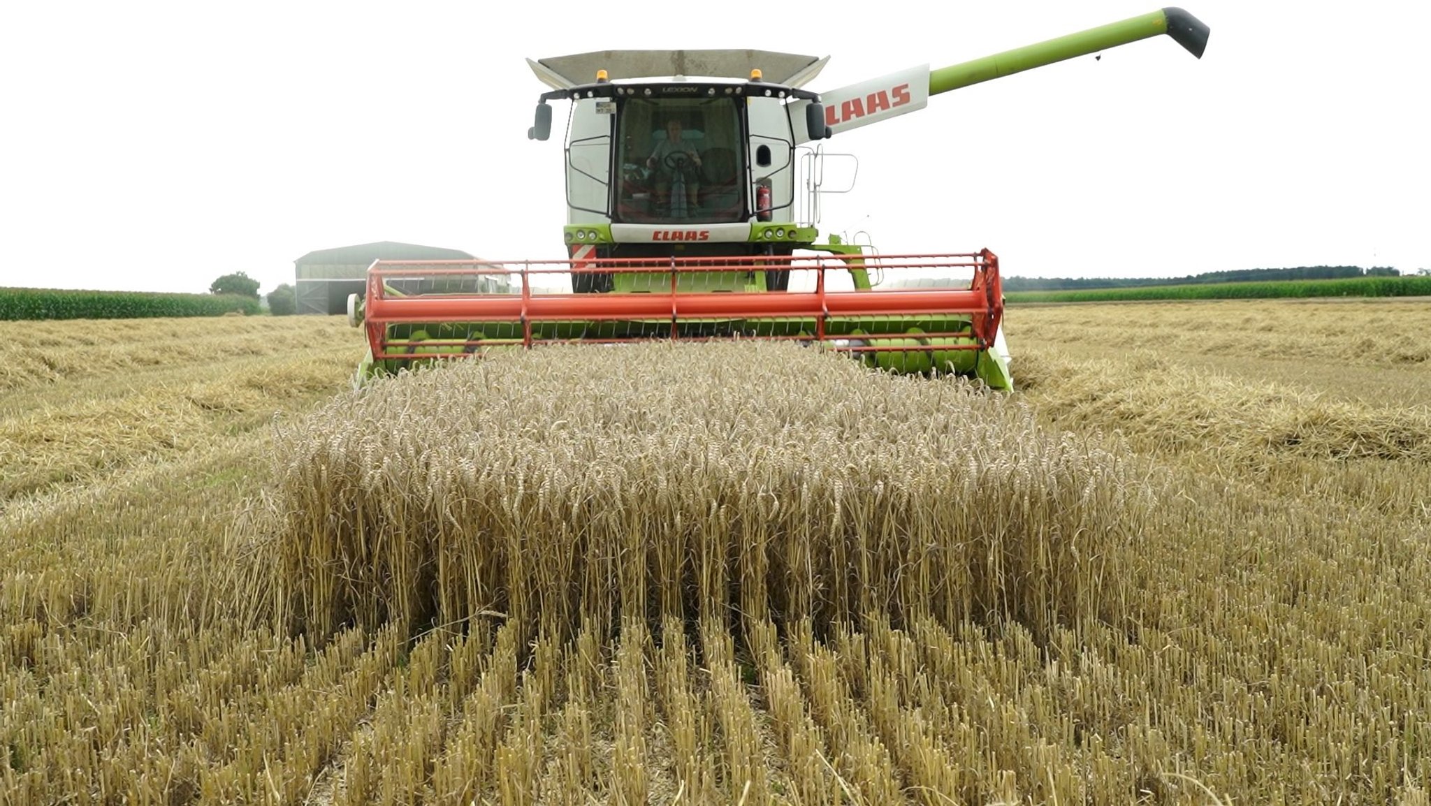 Hochwasser und On-Off-Sommer: Schwierige Ernte für Landwirte