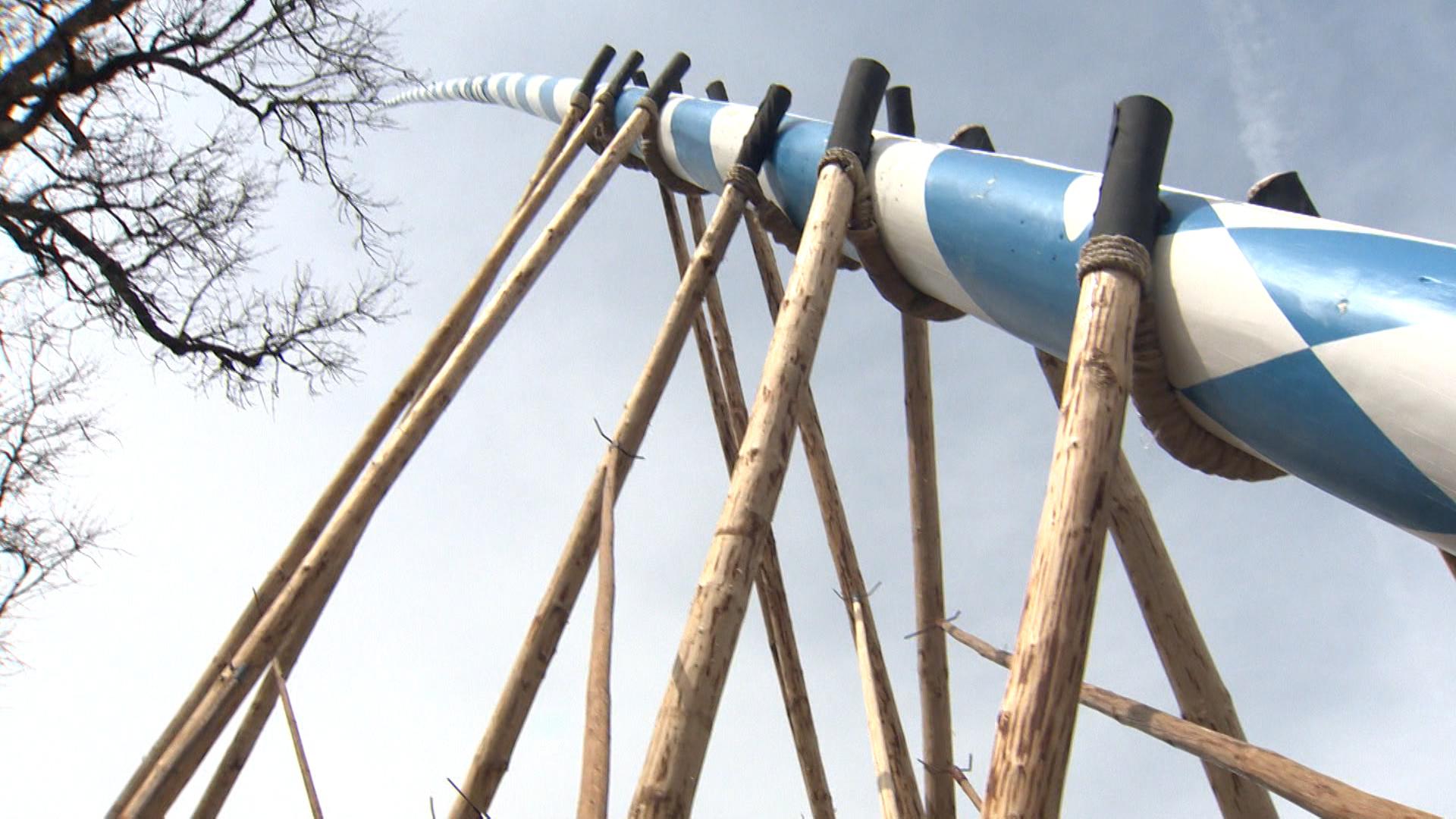 Maibaum wird aufgestellt