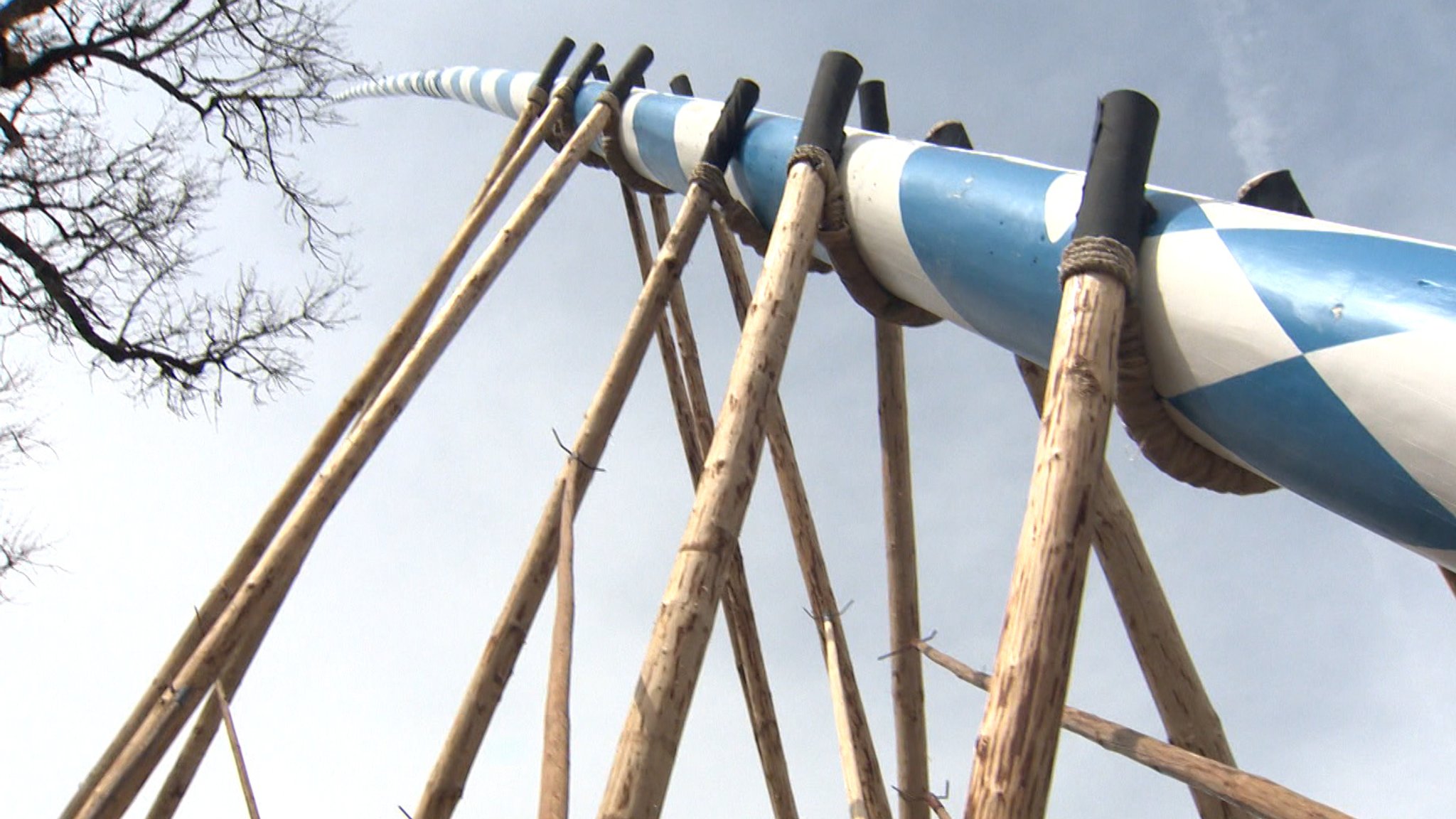 Maibaum wird aufgestellt