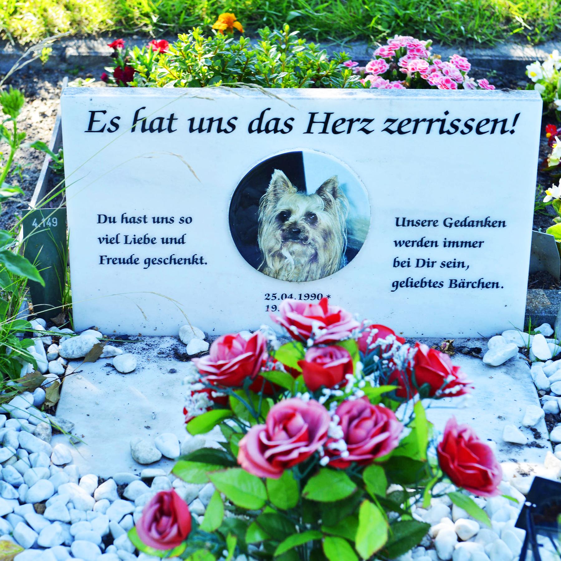 LAND UND LEUTE: Requiem für Bello - Die Trauer ums geliebte Tier episode artwork