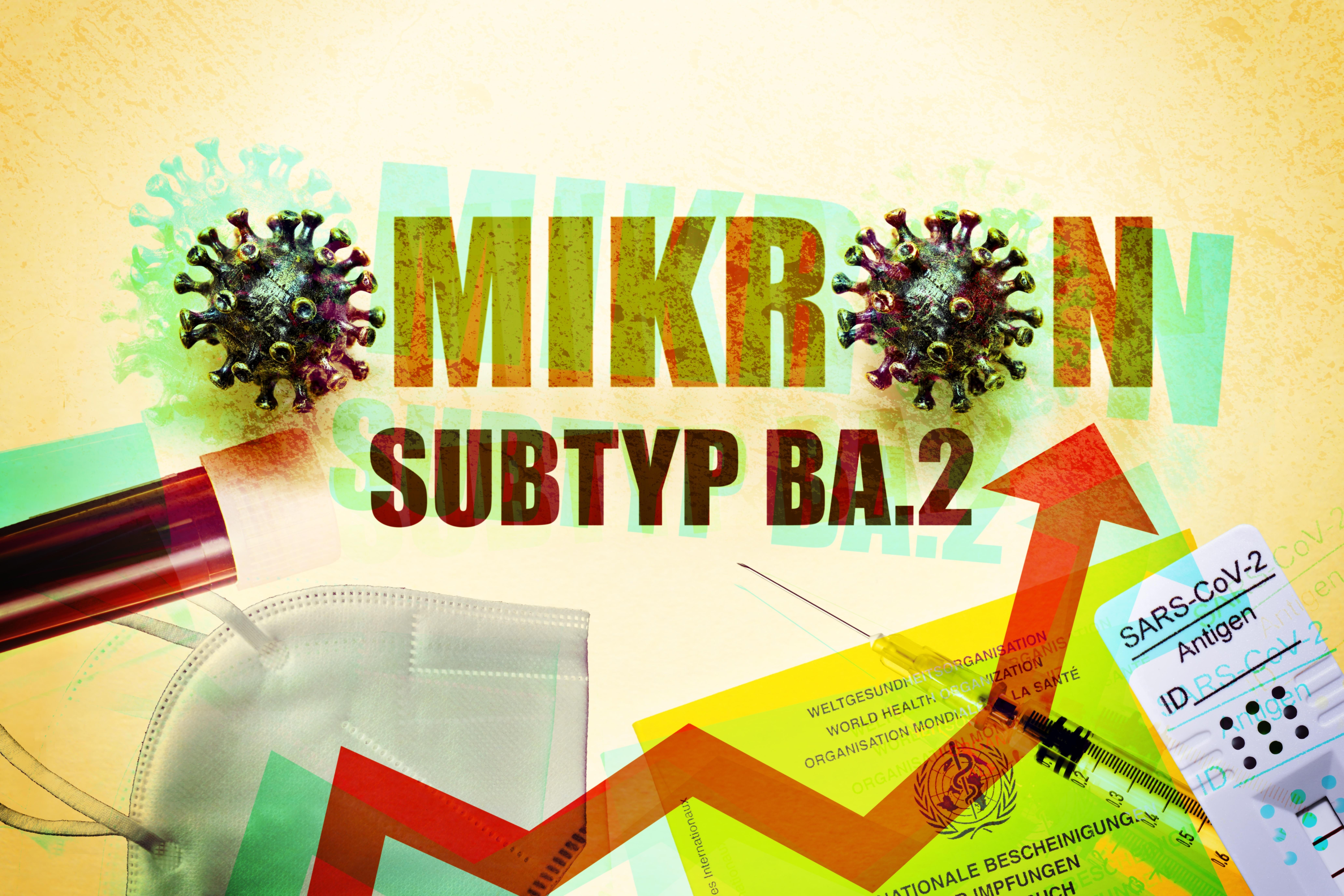Omikron-Subtyp BA.2 und ansteigende Kurve von Fallzahlen