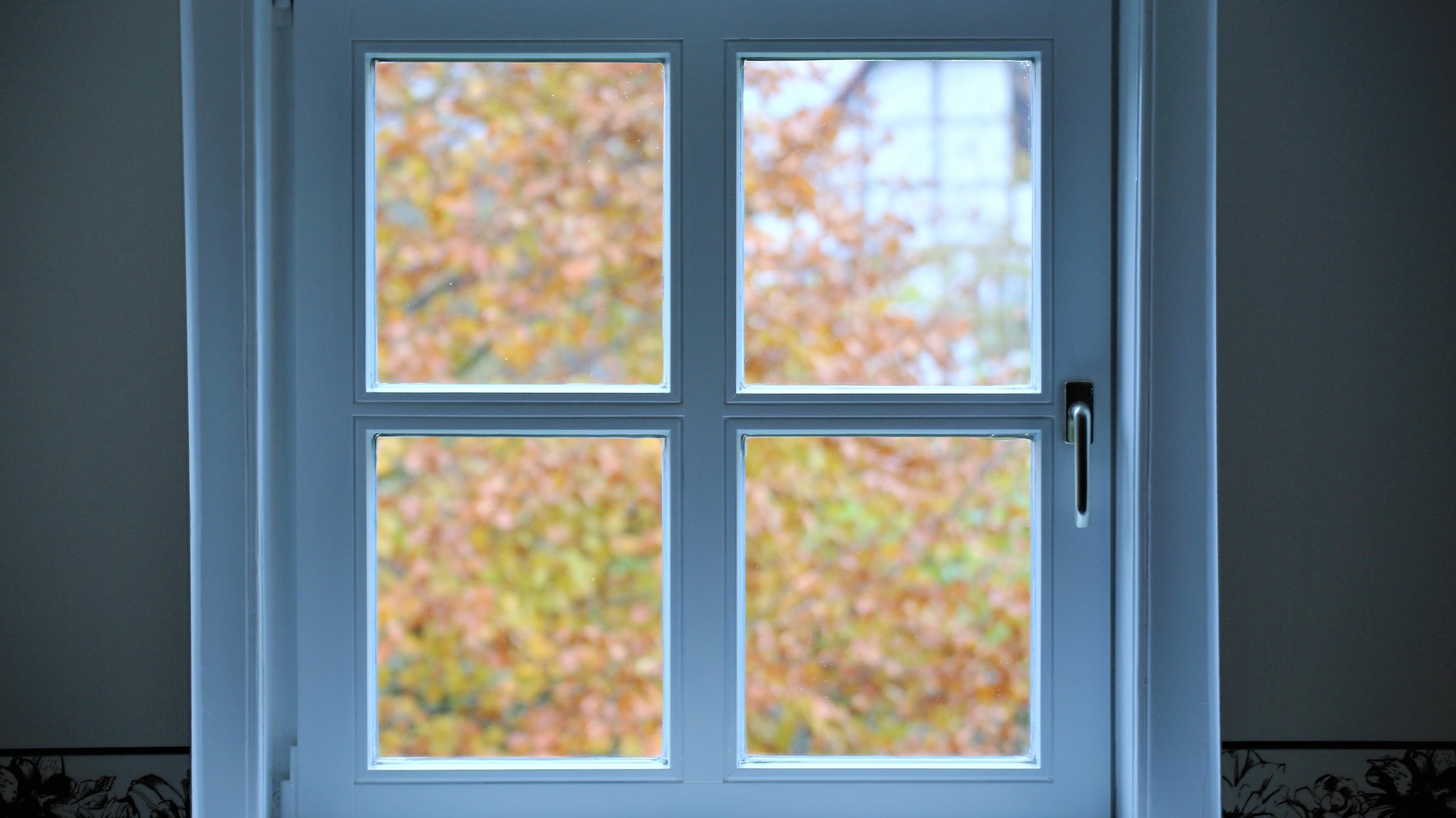 Fenster mit Blick nach draußen (Symbolbild)