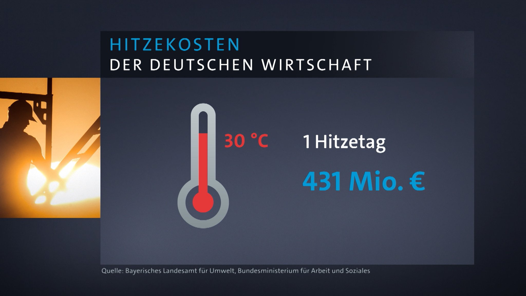 Hitzesommer - Schäden in Milliardenhöhe