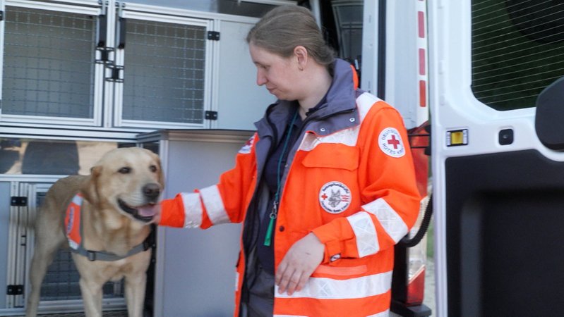 Sie können Leben retten, indem sie vermisste Personen finden. Die Rettungshunde der BRK-Hundestaffel. Ehrenamtliche sogenannte Mensch-Hund-Teams üben in Regensburg zweimal pro Woche. Geleitet wird die Hundestaffel von der 28-jährigen Maria Hauser.