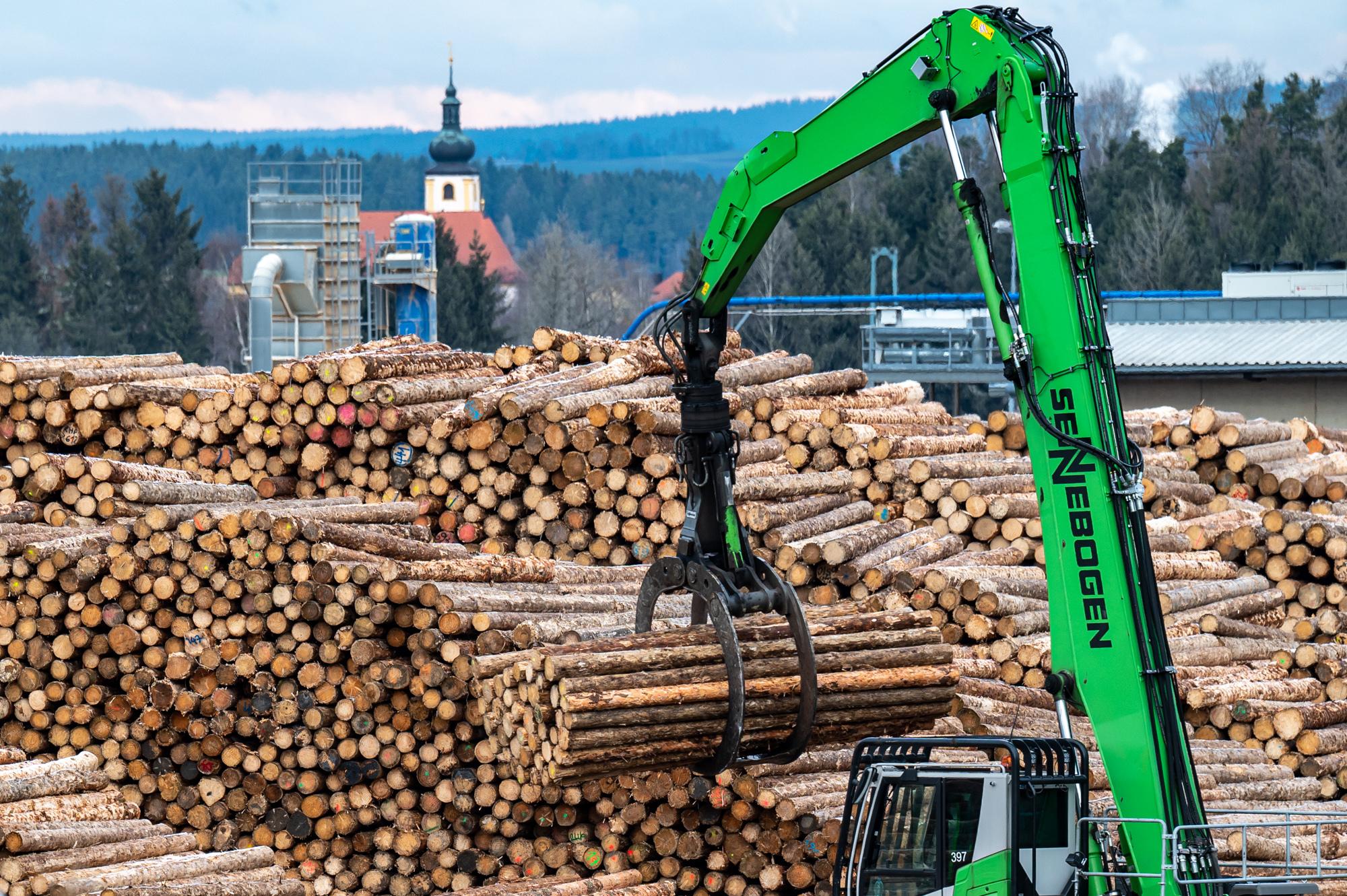 Holzstämme liegen auf dem Gelände des Sägewerks der Ziegler Group in Plößberg.