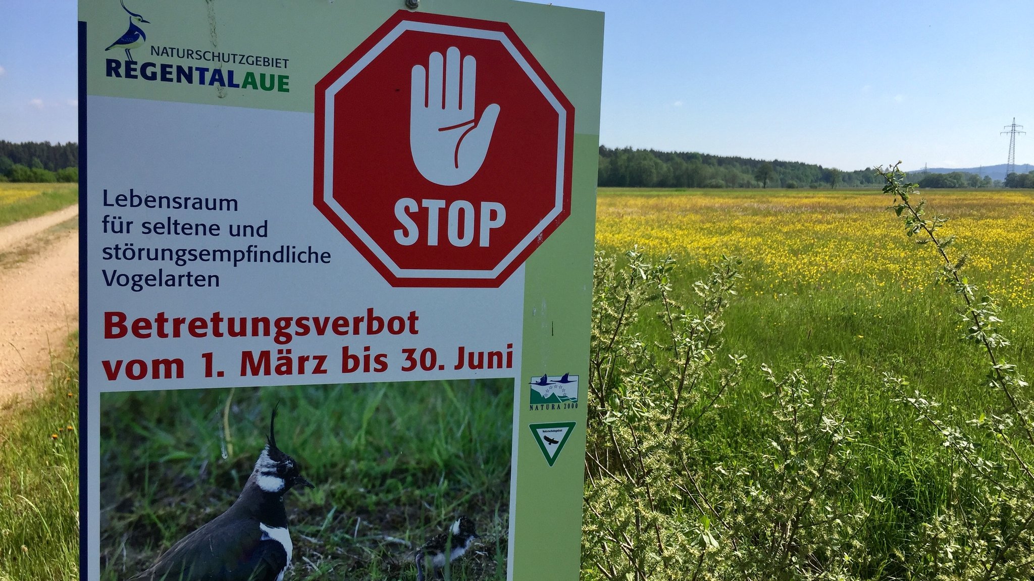 Schild weist auf Betretungsverbot hin. Damit sollen Wiesenbrüter geschützt werden.