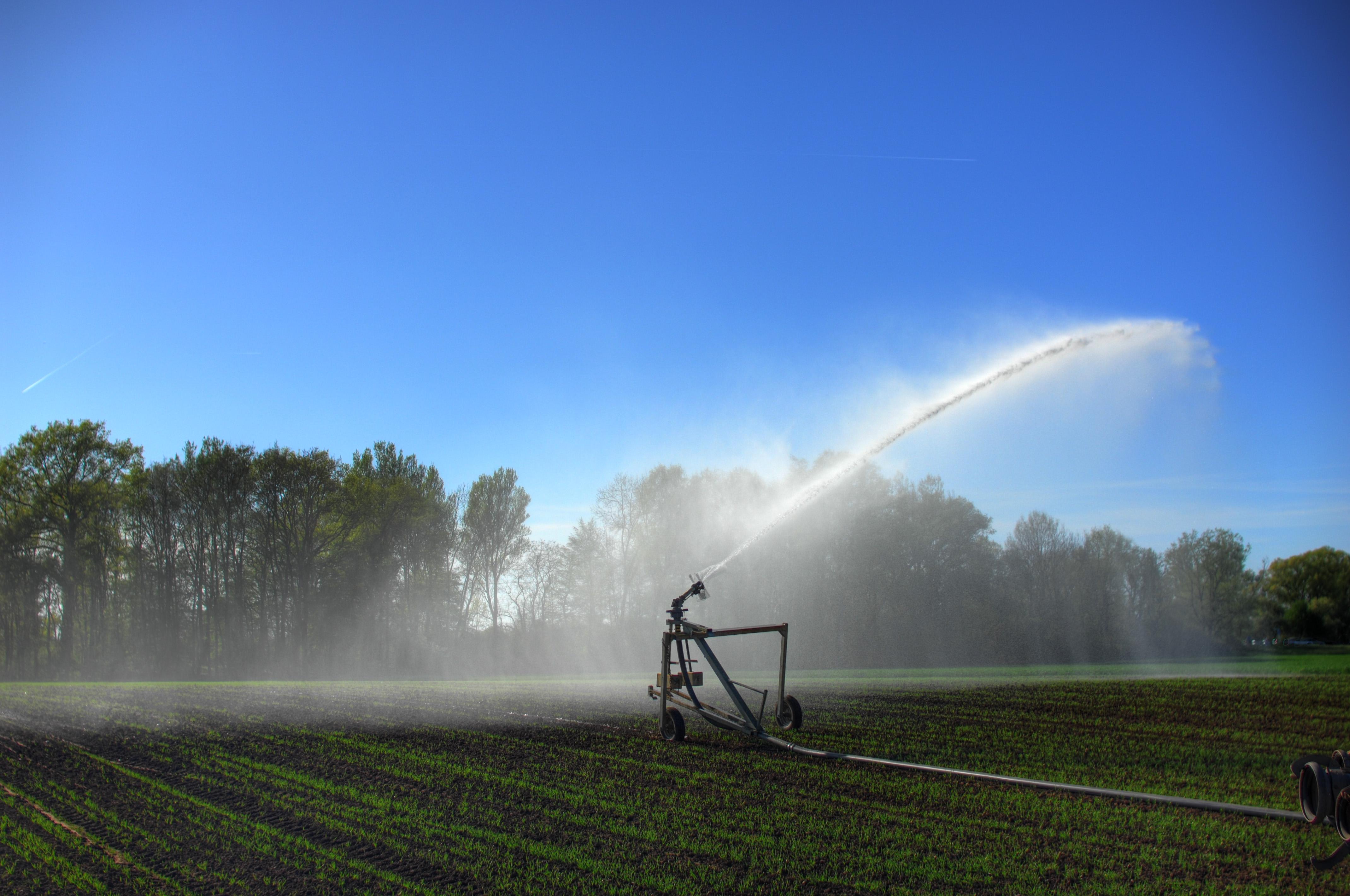 Ein Feld in Unterfranken wird bewässert.