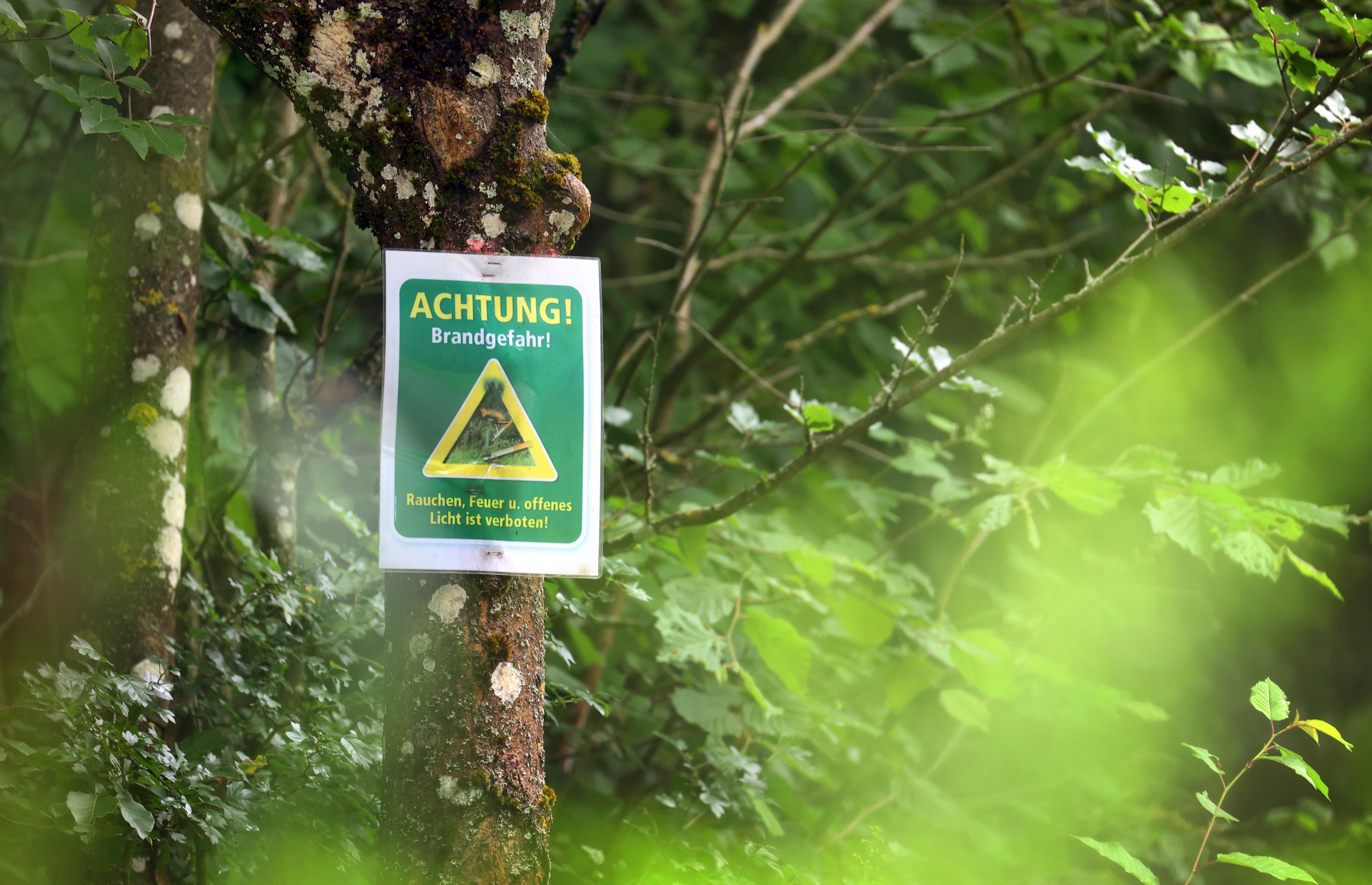 Ein Schild mit der Aufschrift "Achtung! Brandgefahr! - Rauchen, Feuer und offenes Licht ist verboten" hängt in einem Wald an einem Baum.