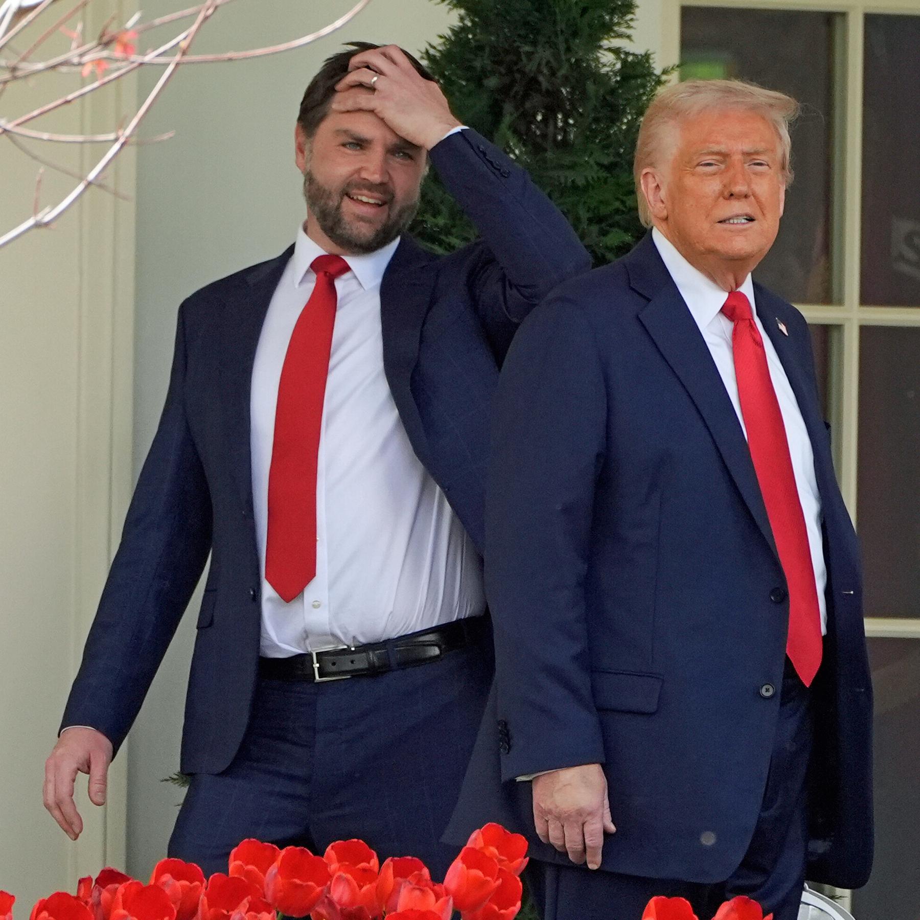 Die dunkle Aufklärung - Trump, Vance und ihre radikalen Schattenmänner