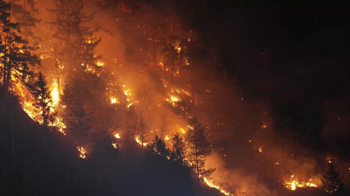 Trockenheit führt zu großem Waldbrand bei Schloss Neuschwanstein