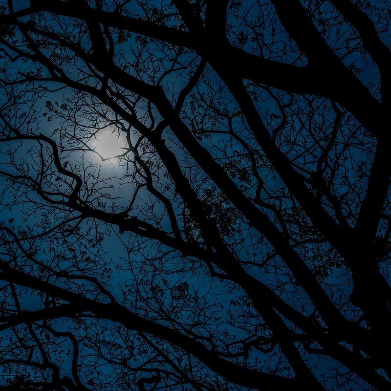 Angst vor der Dunkelheit Was die Finsternis unheimlich macht