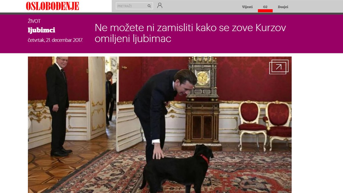 Screenshot einer Website, die Sebastian Kurz beim streicheln eines Hundes zeigt.