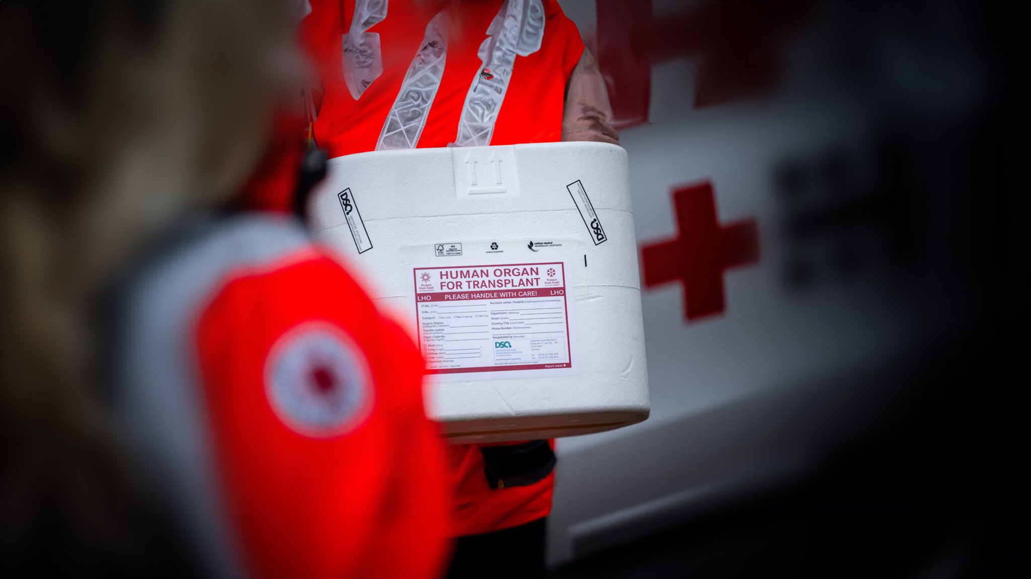 Organspende