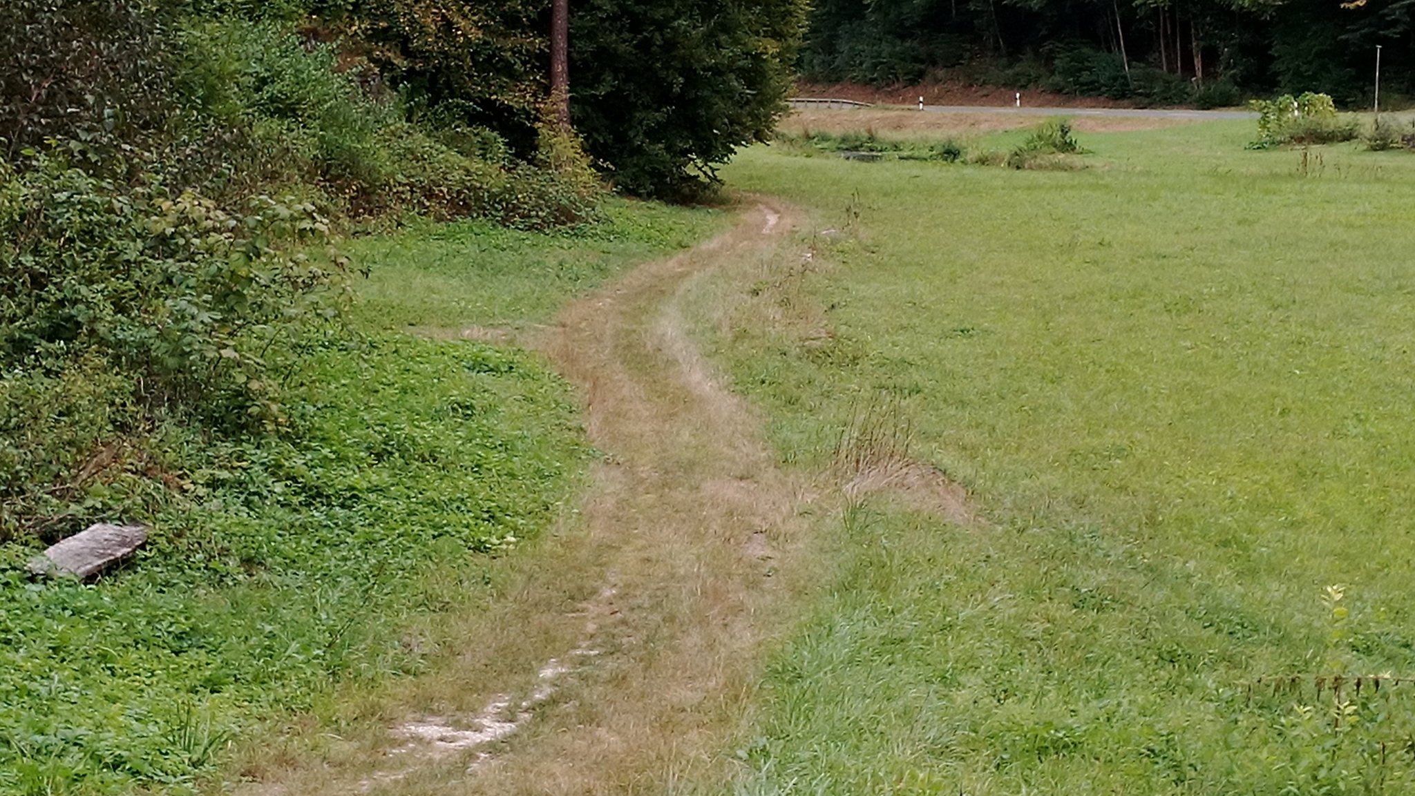 Jetzt schon da: ein Wanderweg von Behringersmühle nach Pottenstein