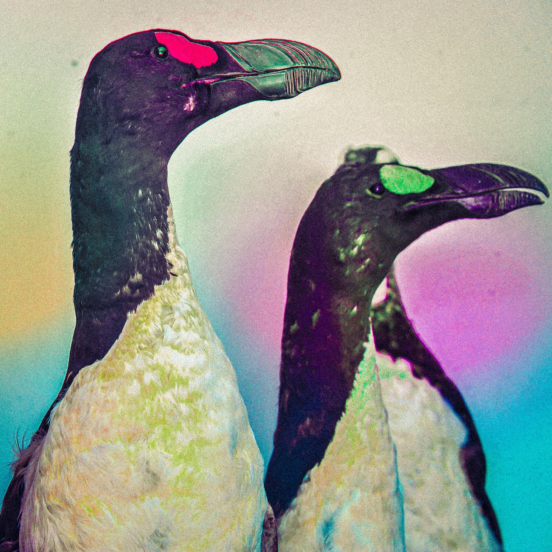 Matthias Jügler: Wir dachten, wir könnten fliegen