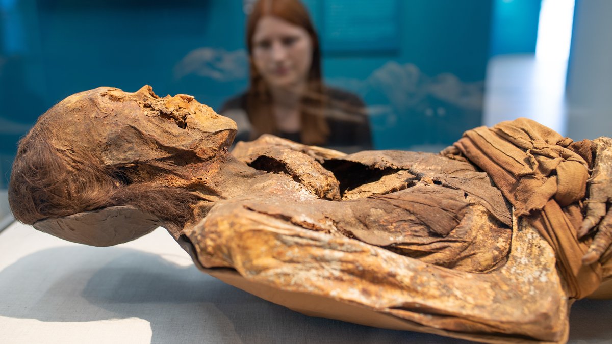 Eine Mumie aus Peru wird ausgestellt. 