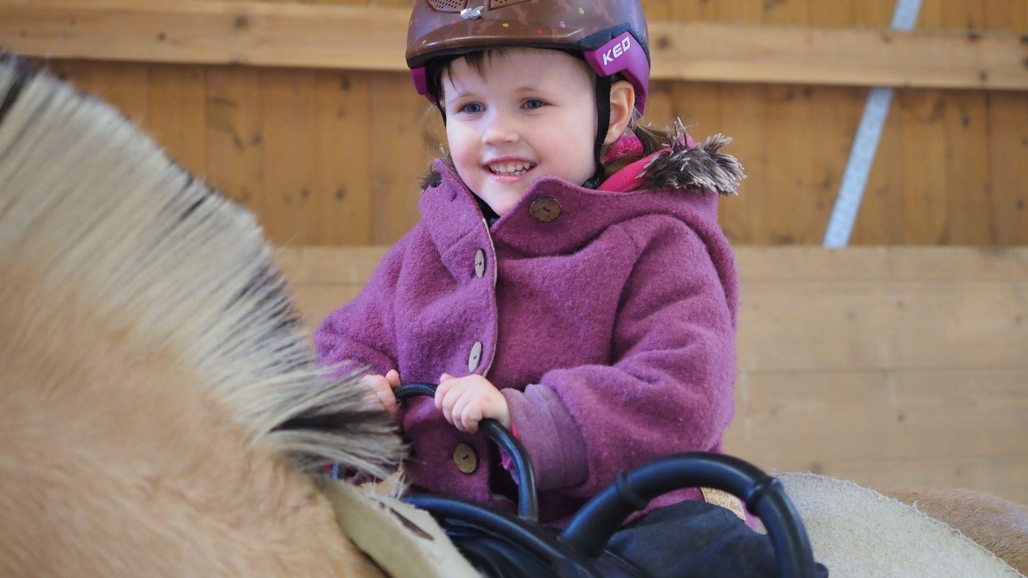 Therapeutisches Reiten wird immer beliebter – auch in Franken