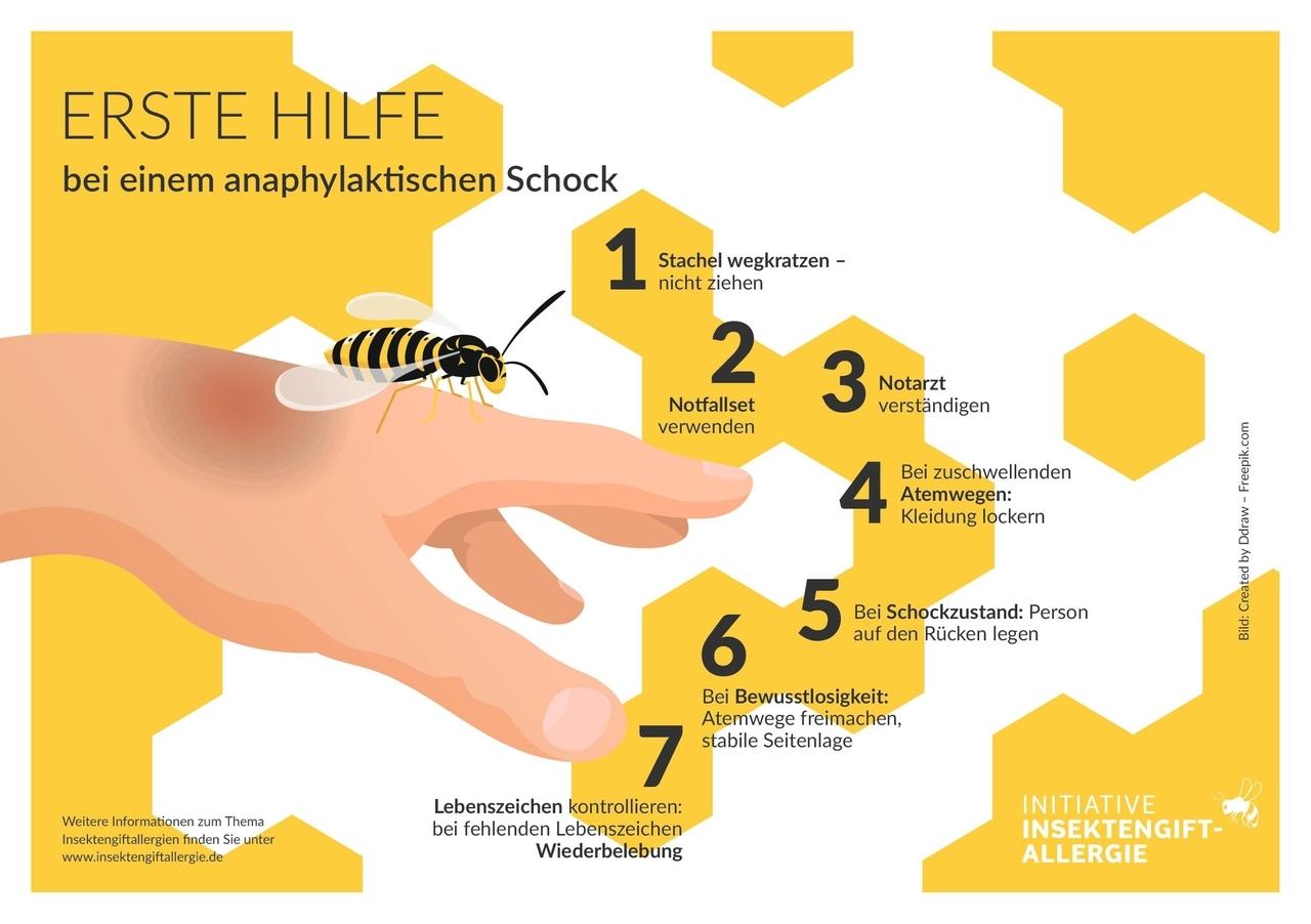 Was Tun Bei Insektenstich Schwellung www.br.de