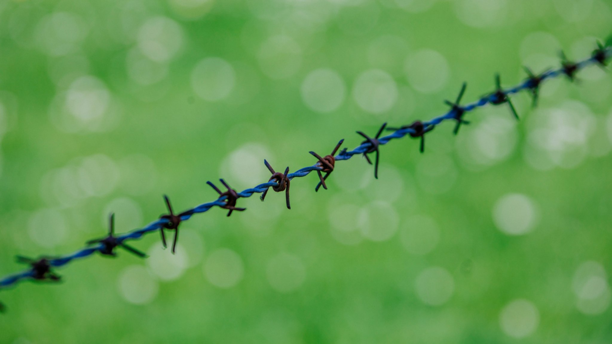 Ein Stacheldrahtzaun (Symbolbild). | Bild: BR/Johanna Schlüter Ein Stacheldrahtzaun (Symbolbild).