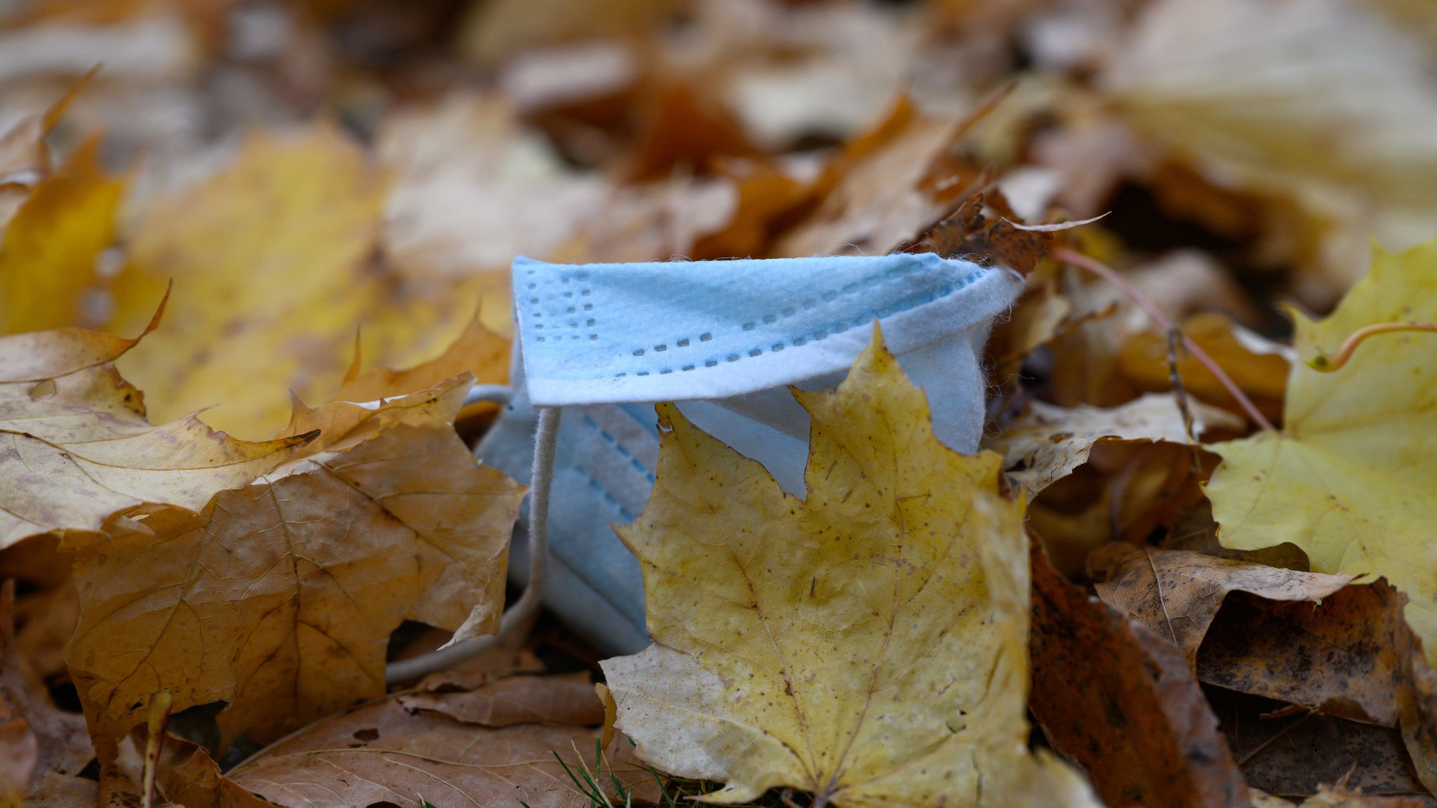 Ein Mund-Nasen-Schutz im Herbstlaub (Symbolbild)