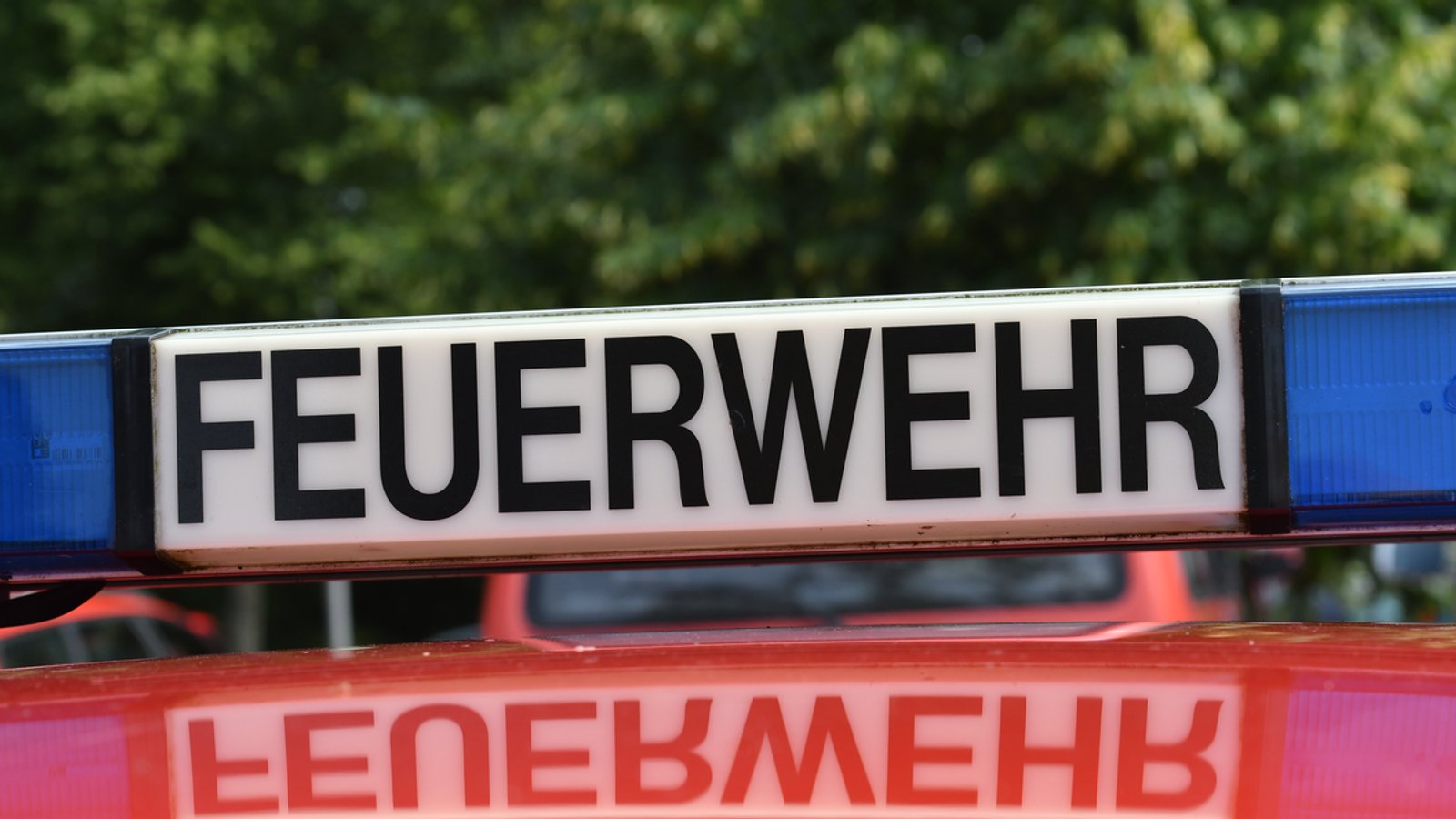 Bild: picture alliance / Paul Zinken/dpa