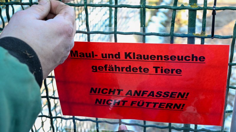 Warnschild | Bild: picture alliance/dpa | Jens Kalaene Warnschild