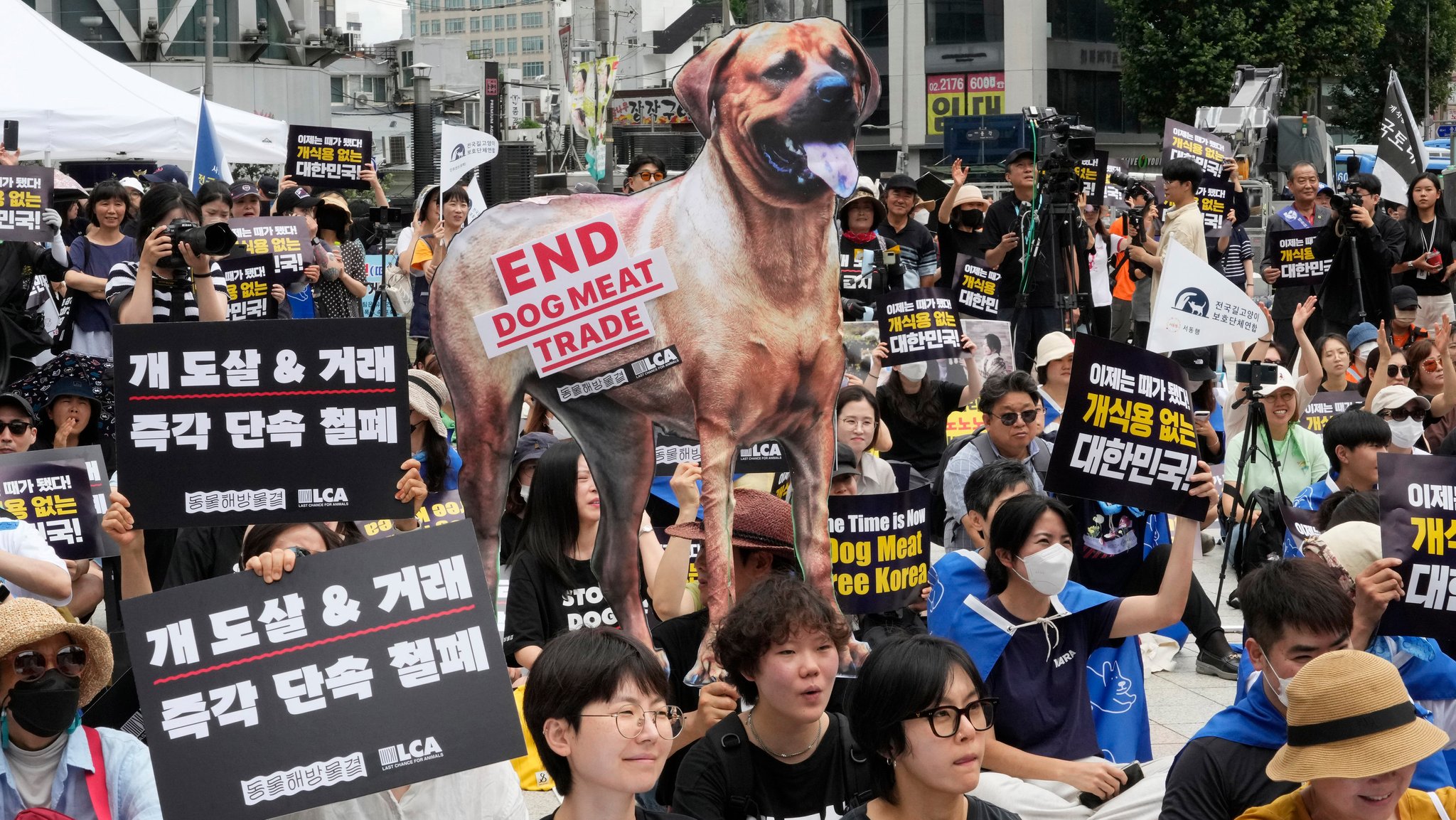 08.07.2023, Südkorea, Seoul: Tierschützer veranstalten eine Kundgebung gegen die traditionelle Kultur des Verzehrs von Hundefleisch.