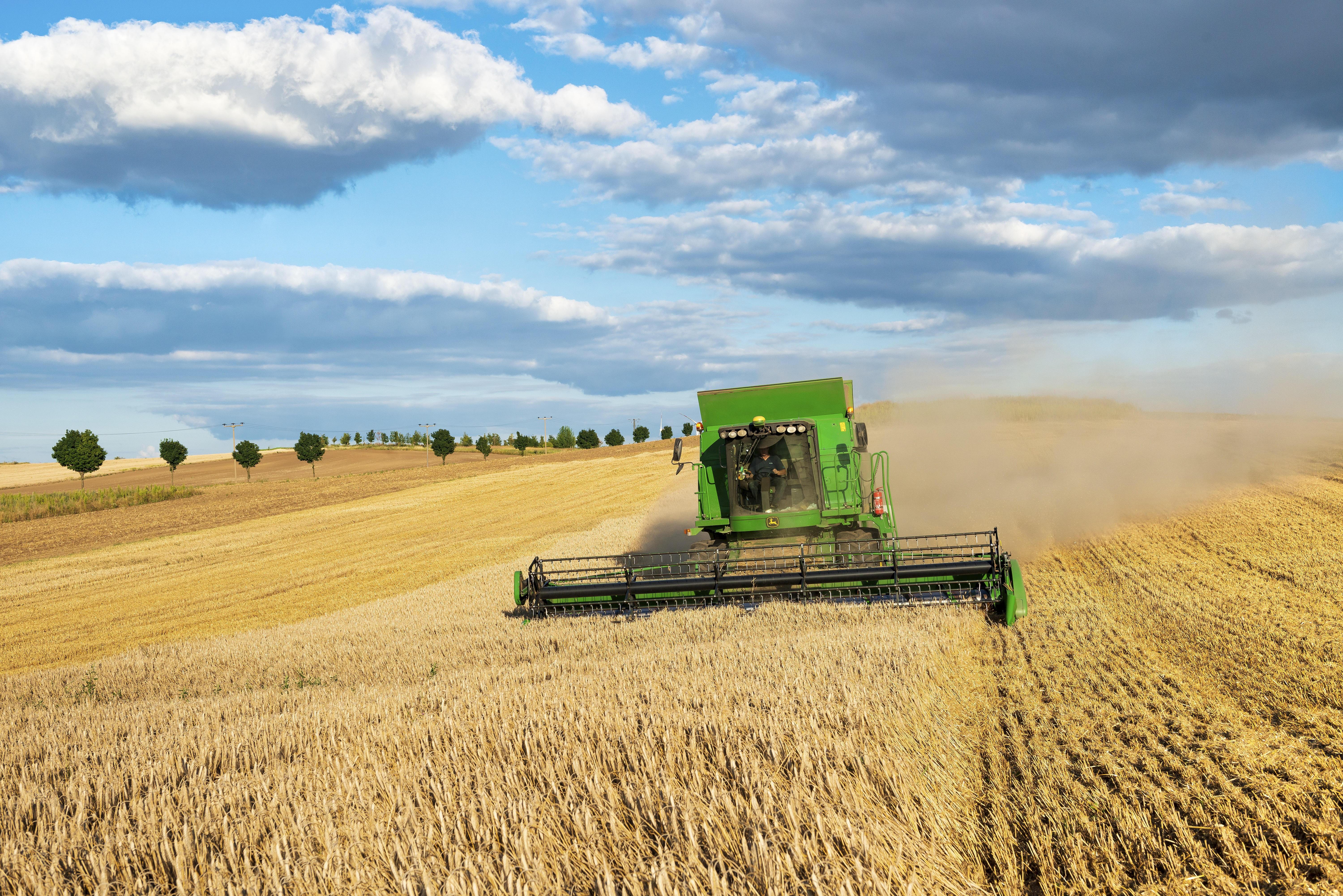 Mähdrescher erntet Weizen auf einem Feld in Deutschland.