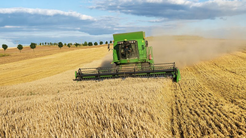 Mähdrescher erntet Weizen auf einem Feld in Deutschland. | Bild: picture alliance / imageBROKER | Andreas Vitting Mähdrescher erntet Weizen auf einem Feld in Deutschland.