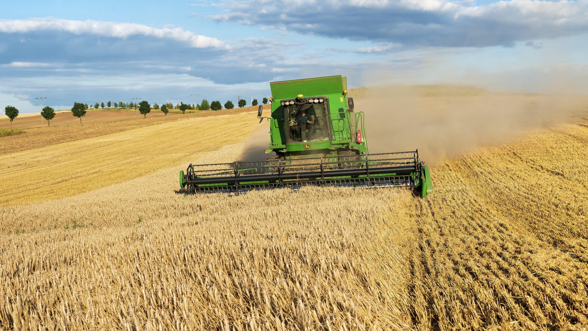 Mähdrescher erntet Weizen auf einem Feld in Deutschland. | Bild: picture alliance / imageBROKER | Andreas Vitting Mähdrescher erntet Weizen auf einem Feld in Deutschland.