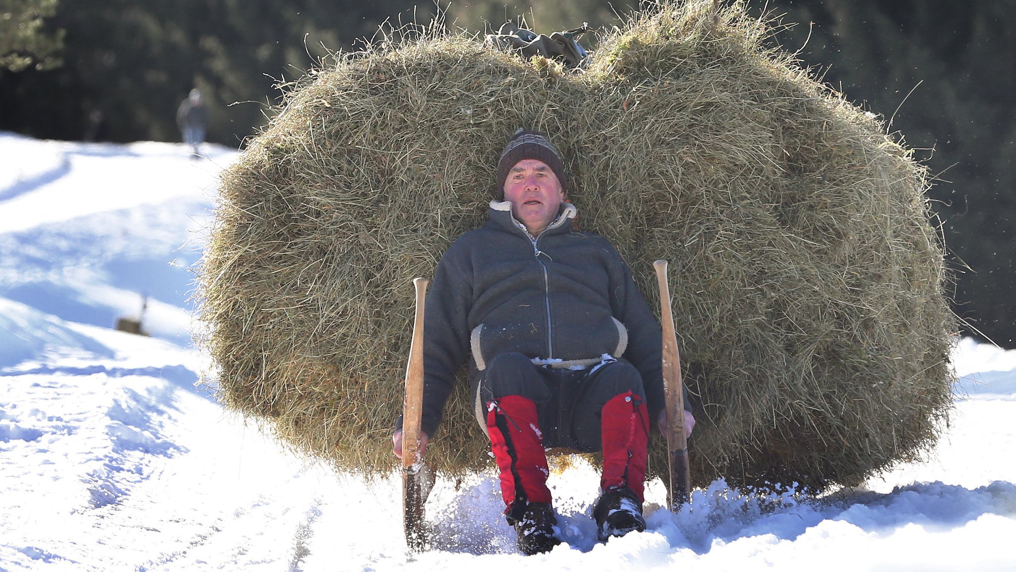 Ein mit Heu beladener Hornschlitten auf der Piste des Schlittenrennens in Bad Hindelang im Oberallgäu