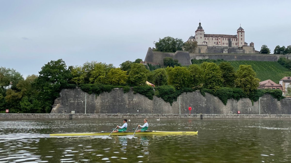 Die Sportler trainieren auf dem Würzburger Main