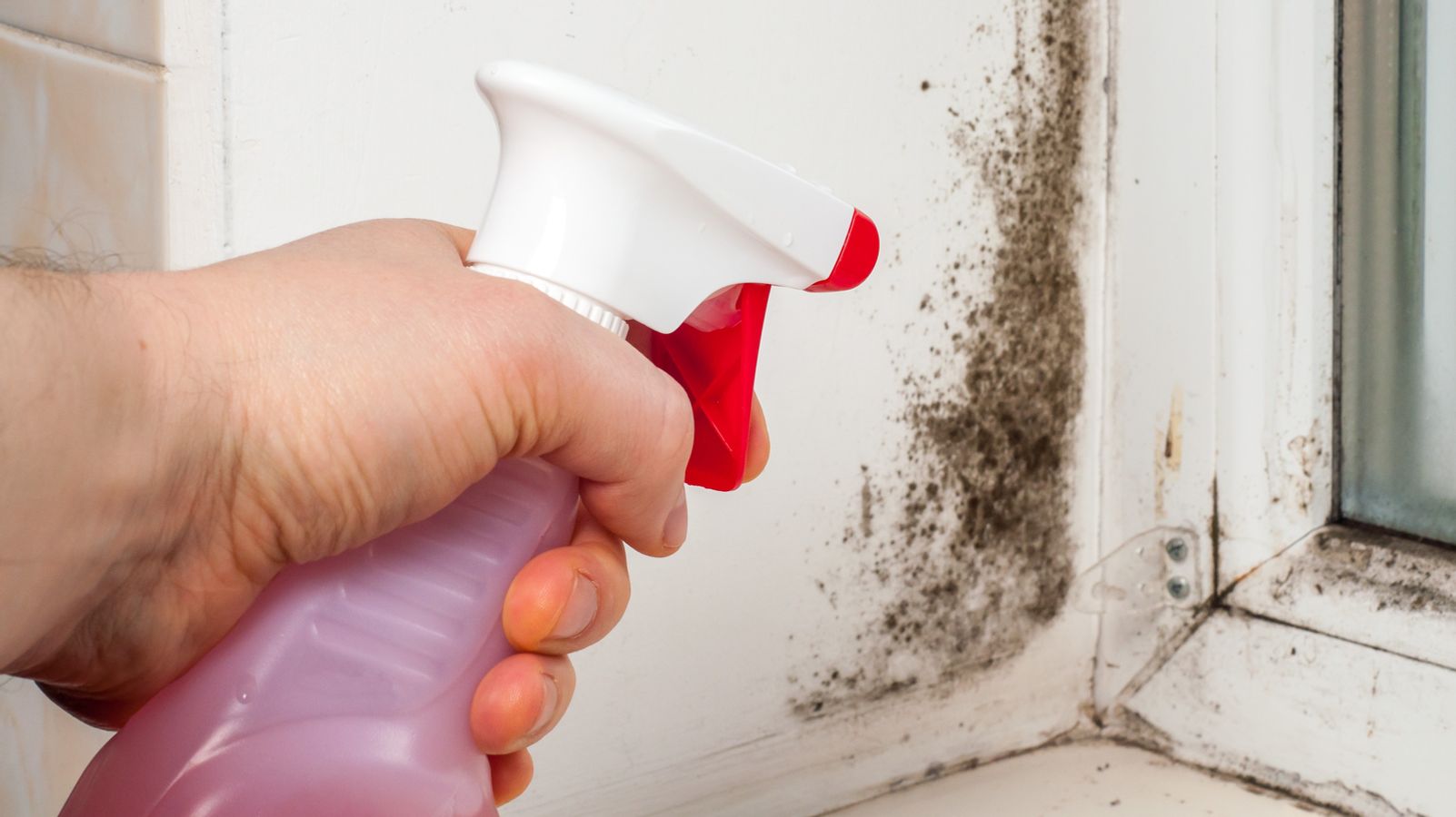 Wie Bekommt Man Schimmel Am Fenstergummi Weg www.br.de