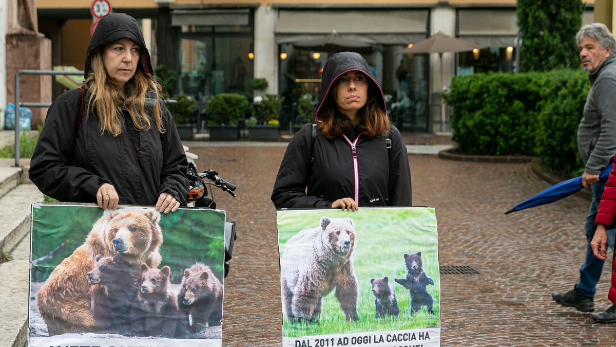 Zwei Frauen demonstrieren in Italien mit Plakaten für die Freilassung der Bärin JJ4, die im April einen Jogger angefallen und getötet hatte