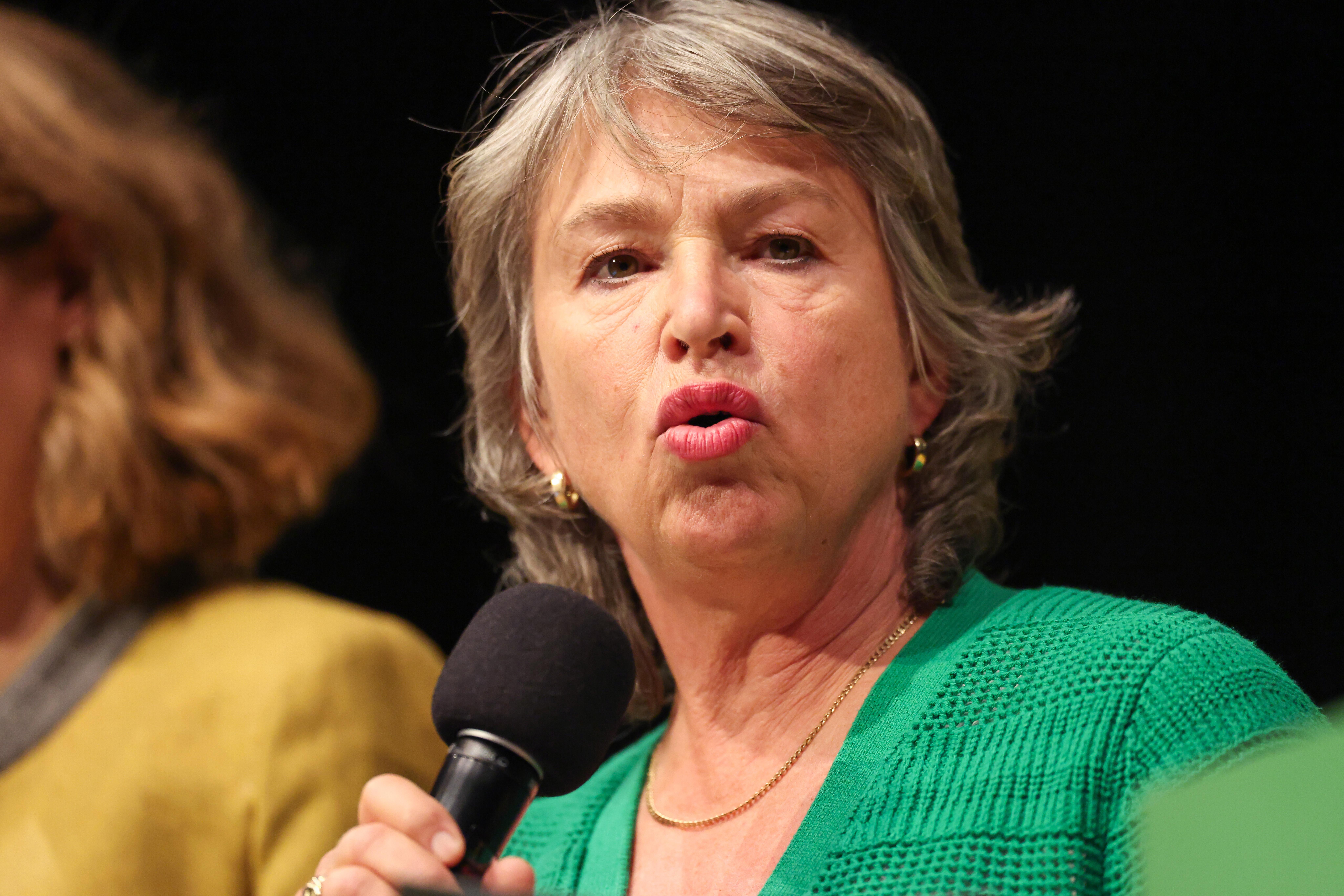 "Wer mit dem Zuhause von Menschen spekuliert, zieht künftig den Kürzeren": Co-Landeschefin Gisela Sengl auf dem Parteitag der bayerischen Grünen.