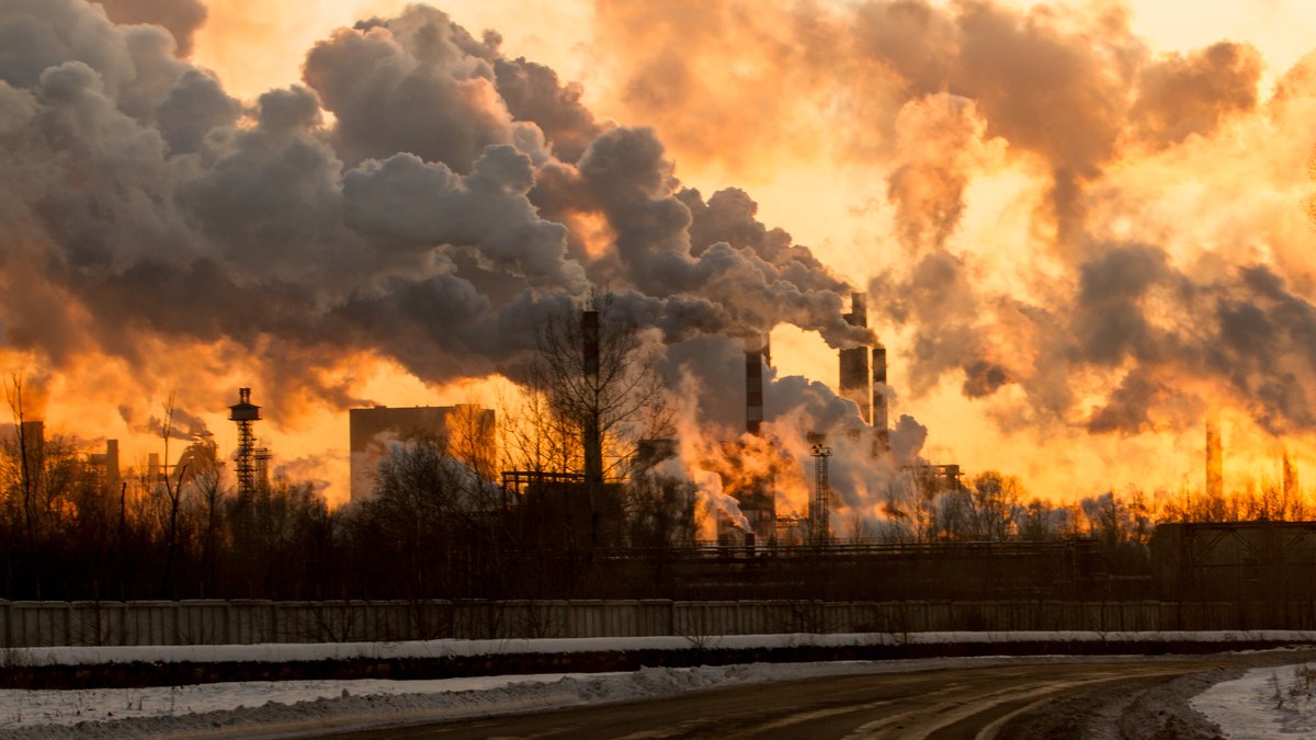 Tricksereien bei Klimaschutzprojekten? Ermittlungen in Bayern