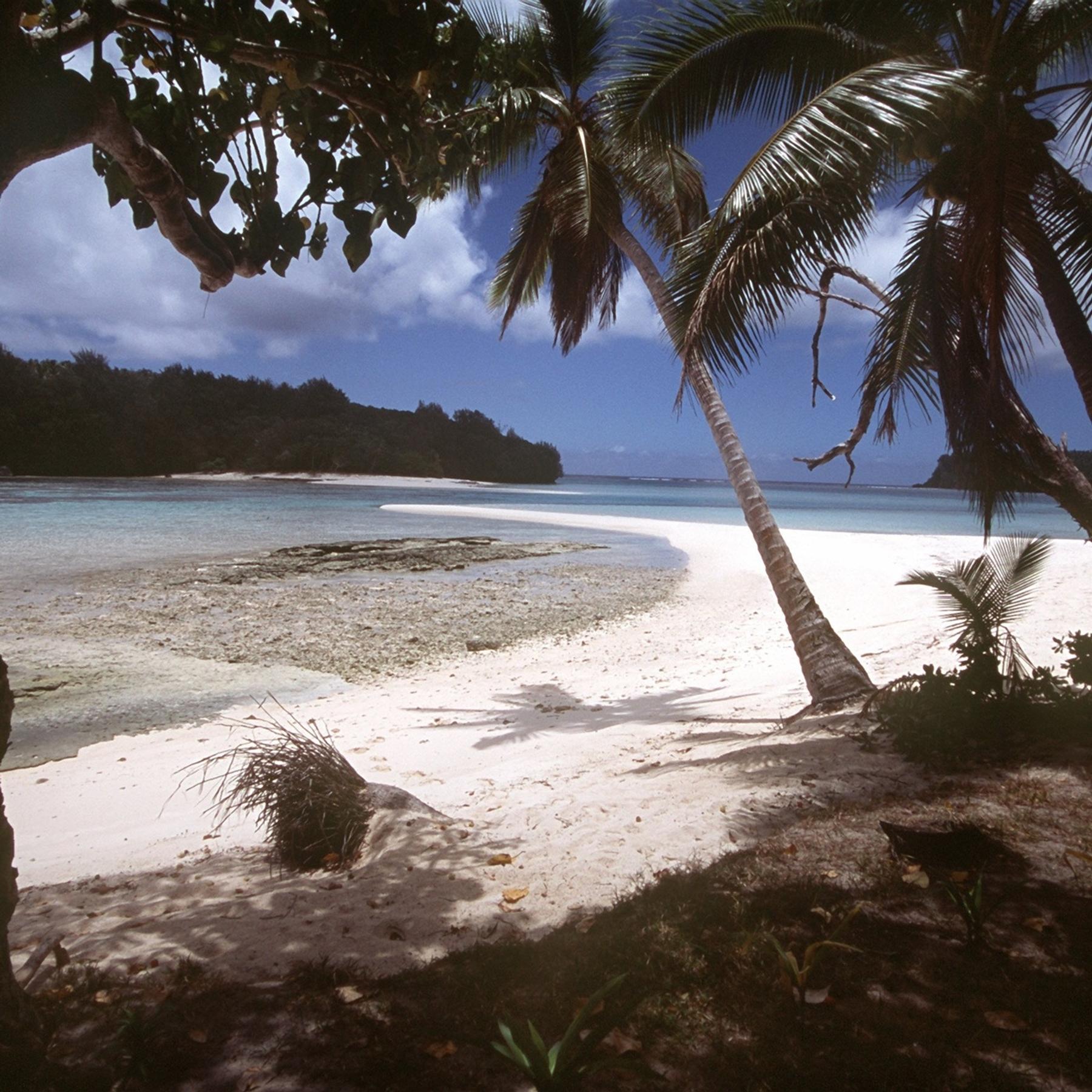 Kleine Insel, große Probleme - Notizen aus Tuvalu episode artwork